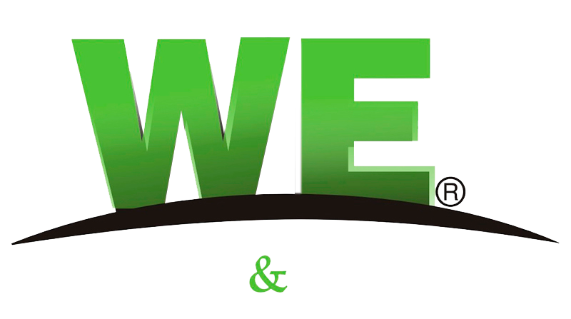 WE LATAM Strategy & Innovation